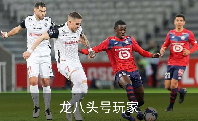 龙八头号玩家介绍